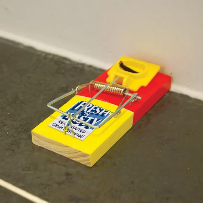 Big Cheese Fresh Baited Mouse Trap