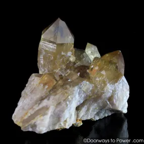 Citrine Lightbrary Kundalini Quartz Starbrary Dow Crystal Cluster