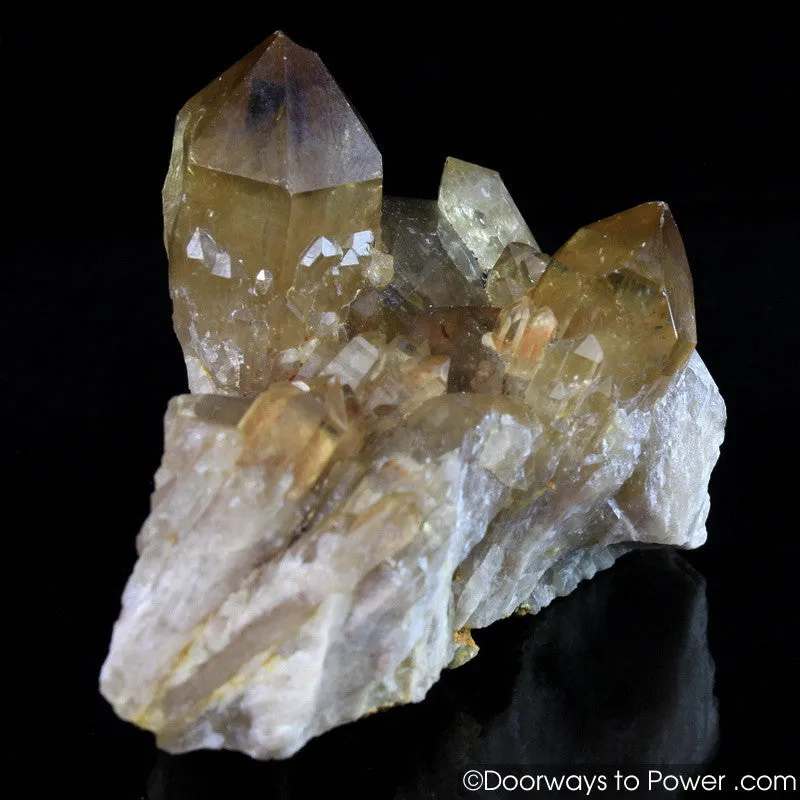 Citrine Lightbrary Kundalini Quartz Starbrary Dow Crystal Cluster