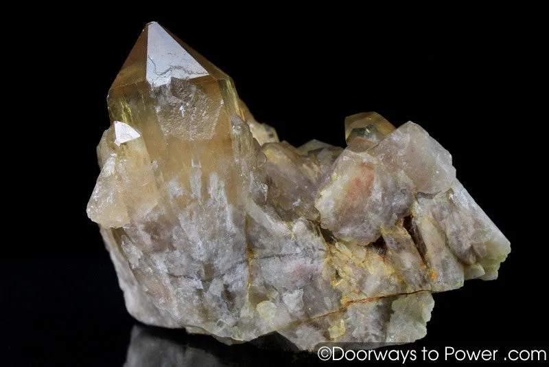 Citrine Lightbrary Kundalini Quartz Starbrary Dow Crystal Cluster