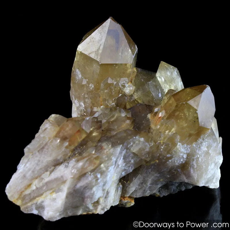 Citrine Lightbrary Kundalini Quartz Starbrary Dow Crystal Cluster