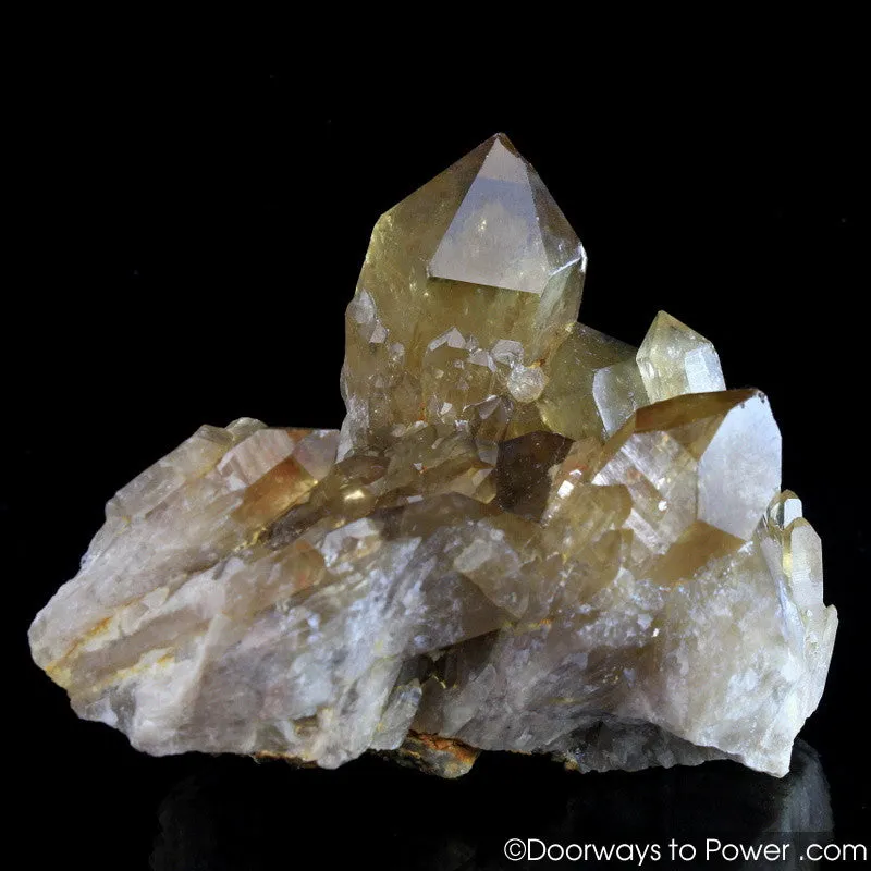 Citrine Lightbrary Kundalini Quartz Starbrary Dow Crystal Cluster