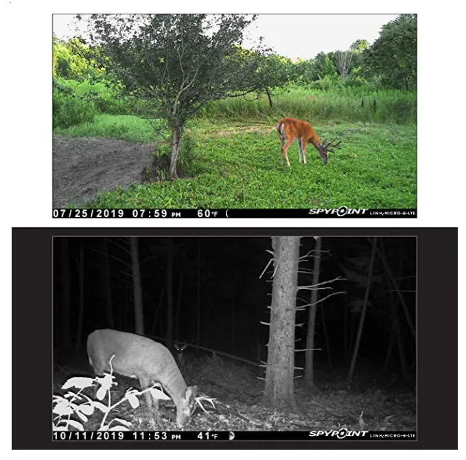 LinkMicro S LTE V Cellular Trail Camera - Verison