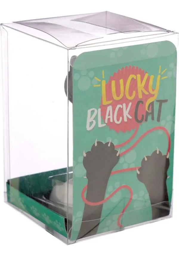 Lucky Black Cat | SOLAR PAL