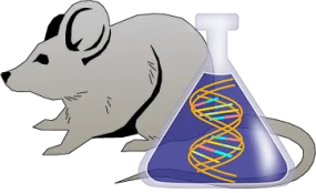 Mouse C1 Inhibitor Genetically Deficient Brain Tissue Lysate