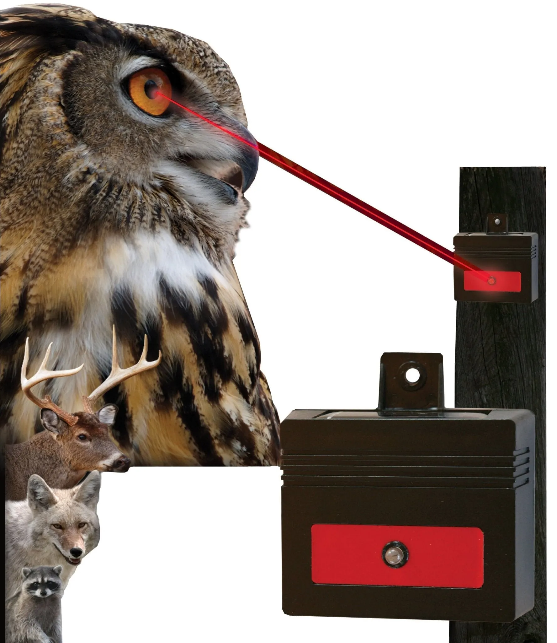 Nite Guard Solar Flash Animal Repellent Device